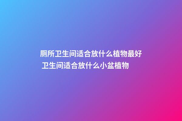 厕所卫生间适合放什么植物最好 卫生间适合放什么小盆植物